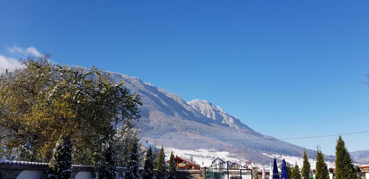 Pensiunea Casa Zarnesteana Hotel Zarnesti Luaran gambar