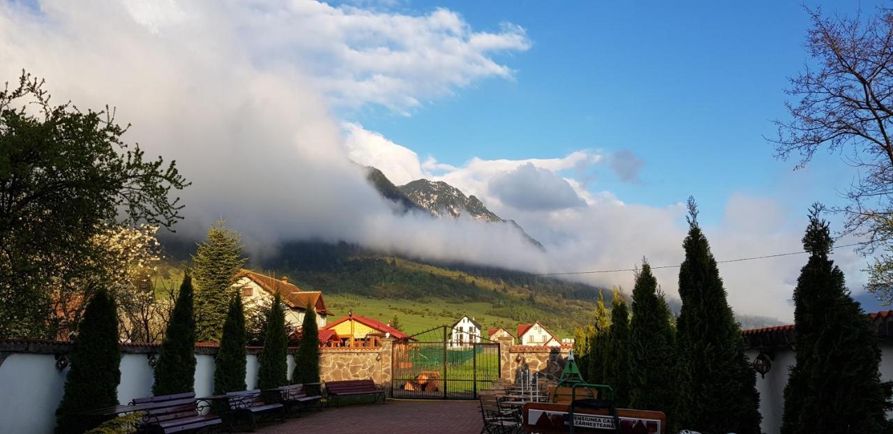 Pensiunea Casa Zarnesteana Hotel Zarnesti Luaran gambar