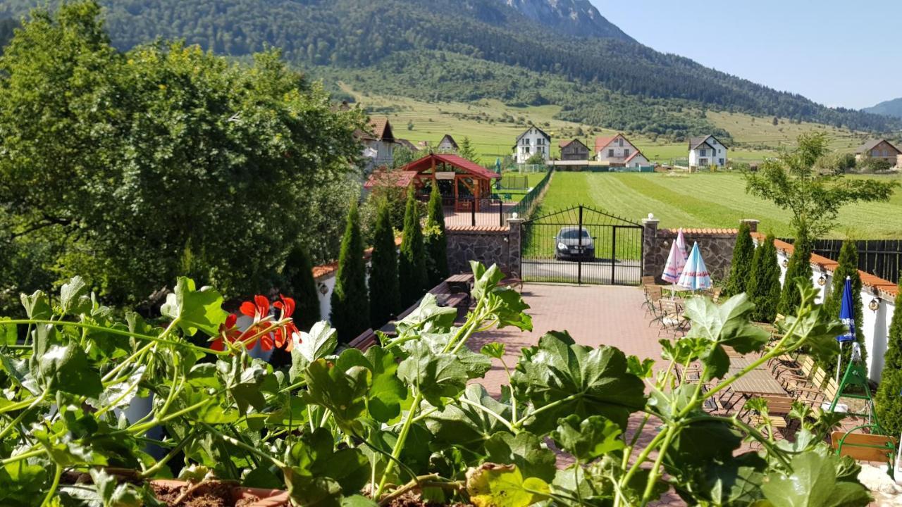 Pensiunea Casa Zarnesteana Hotel Zarnesti Luaran gambar