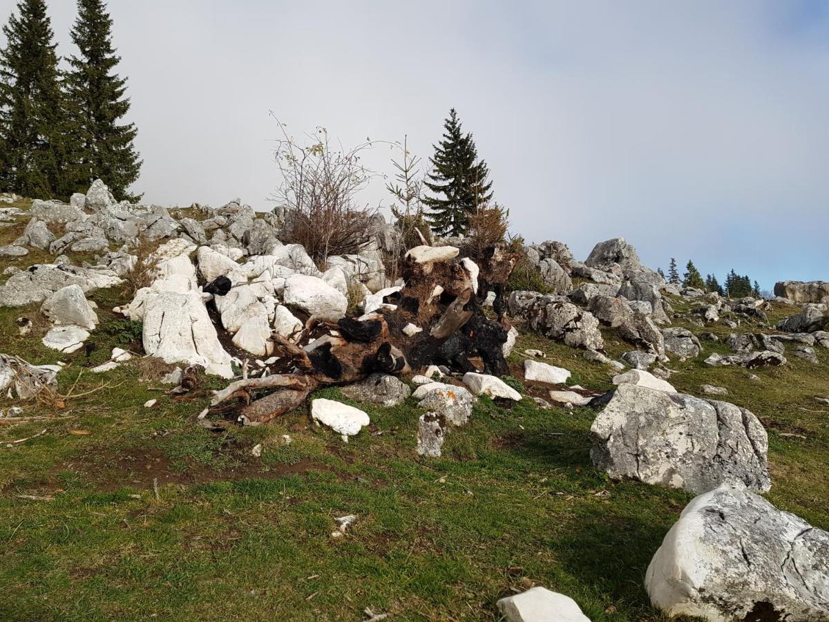 Pensiunea Casa Zarnesteana Hotel Zarnesti Luaran gambar