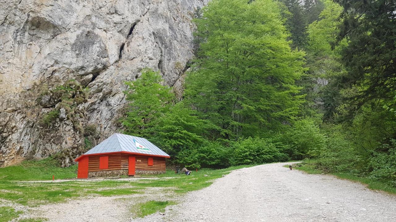 Pensiunea Casa Zarnesteana Hotel Zarnesti Luaran gambar