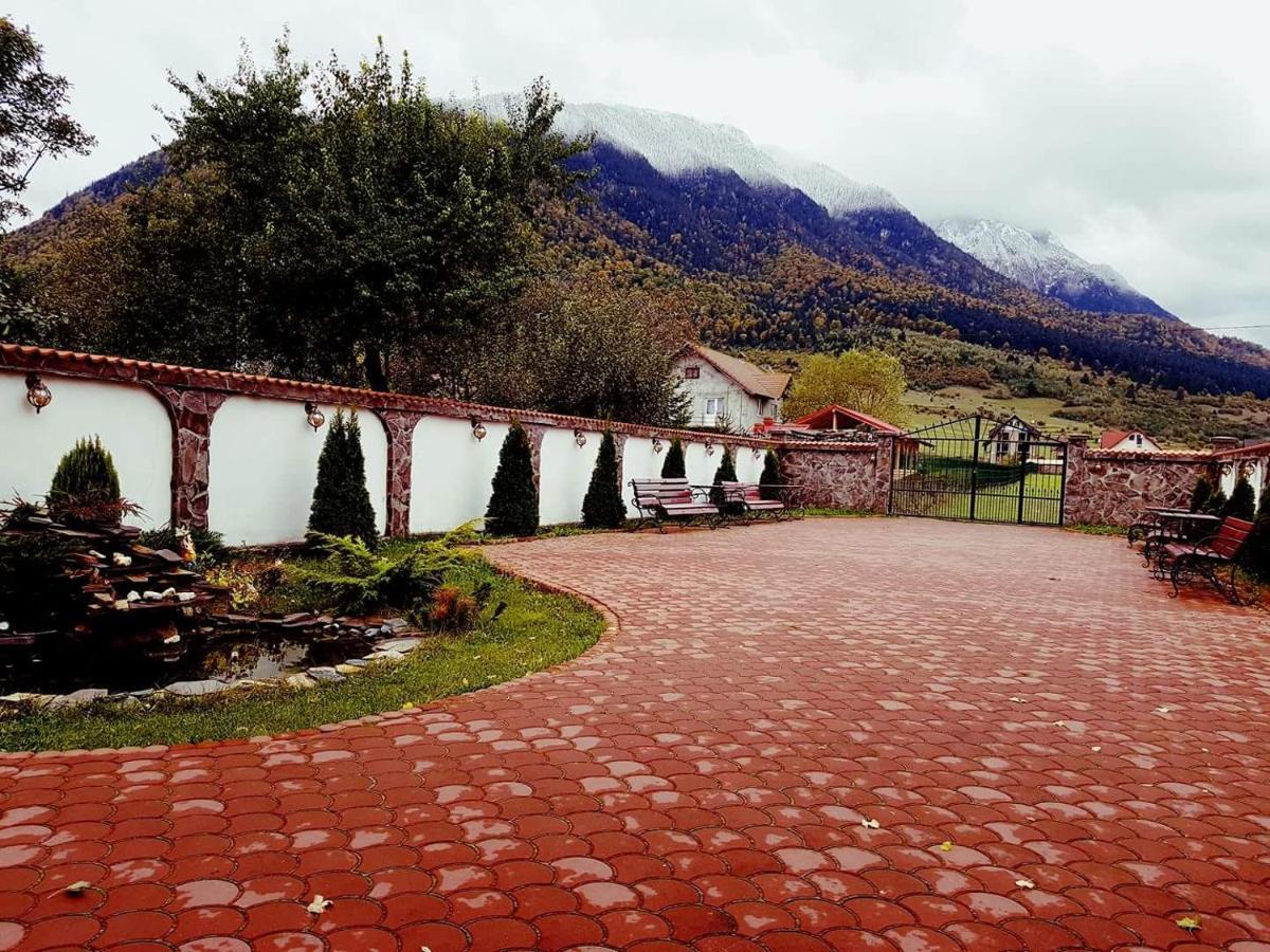 Pensiunea Casa Zarnesteana Hotel Zarnesti Luaran gambar