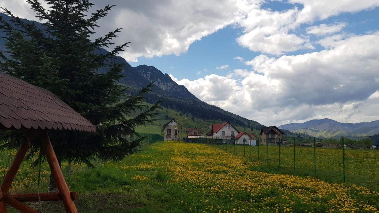 Pensiunea Casa Zarnesteana Hotel Zarnesti Luaran gambar