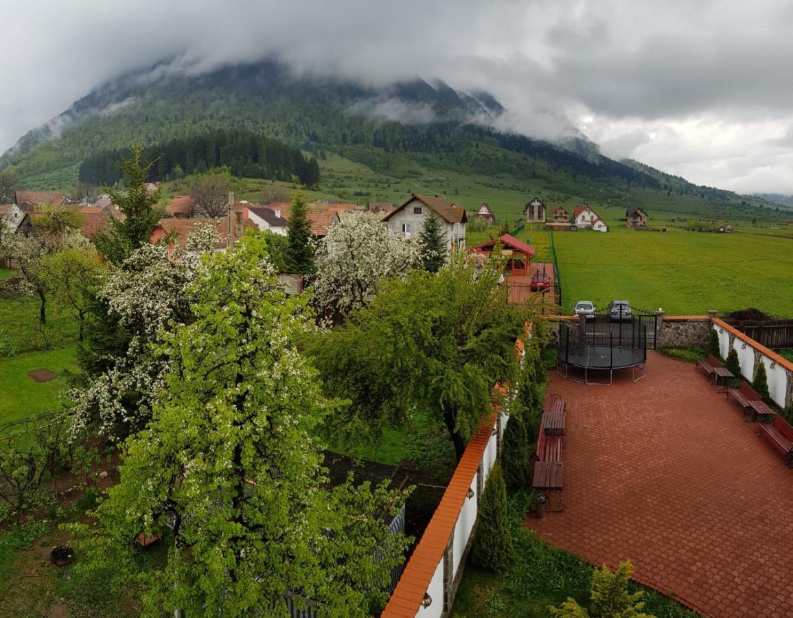 Pensiunea Casa Zarnesteana Hotel Zarnesti Luaran gambar