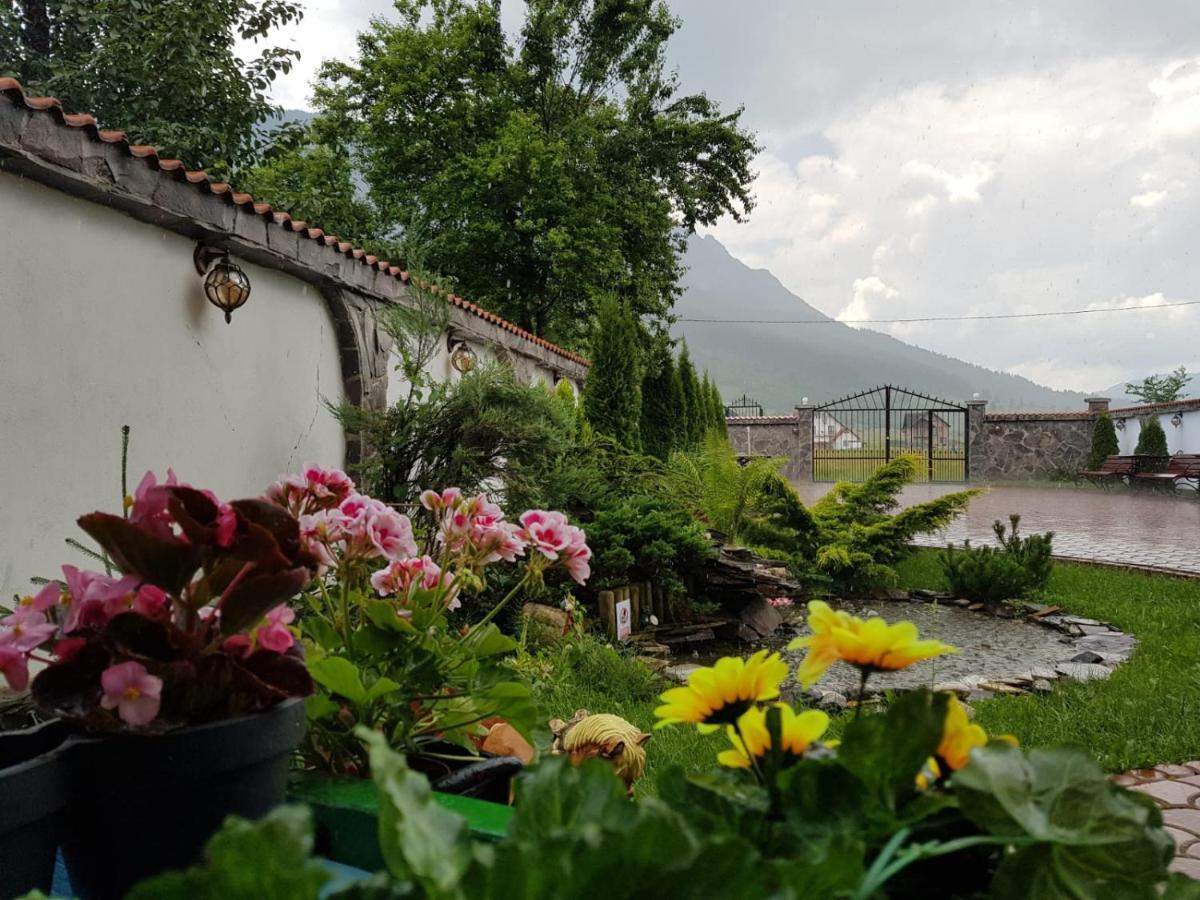 Pensiunea Casa Zarnesteana Hotel Zarnesti Luaran gambar